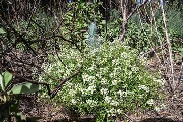 De ruta por el macizo de Tamadaba/Antonio Ali.